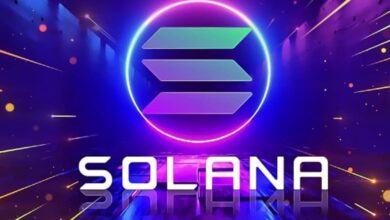 DeFi Dev Corp Reaches 621,313 SOL Tokens in Solana Blockchain