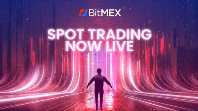 XRP Grows with BitMEX Trading, McGregor Support & U.S. Crypto