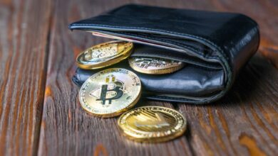 Crypto Wallet Insurance Coverage