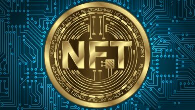 NFT Community Building Services