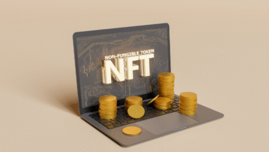 NFT portfolio investment strategy