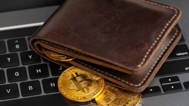 best crypto wallet buy