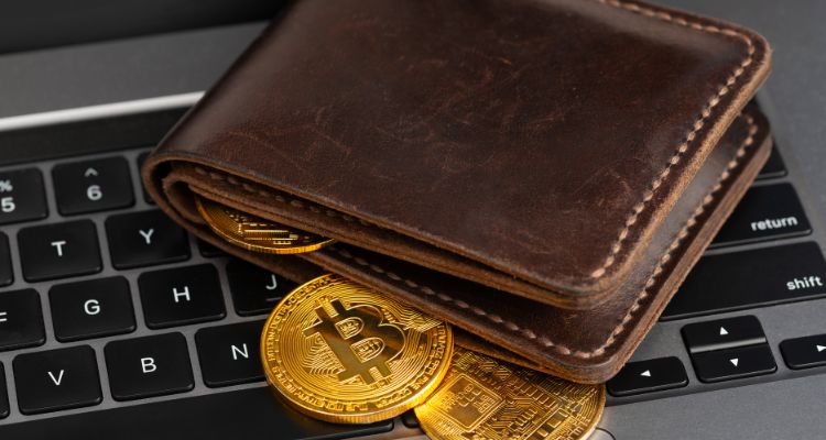 best crypto wallet buy