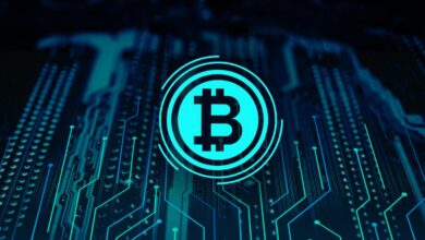 blockchain development company rates