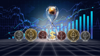 top altcoin investment opportunities