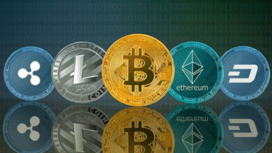 top altcoins invest 2025