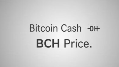 Bitcoin Cash BCH Price