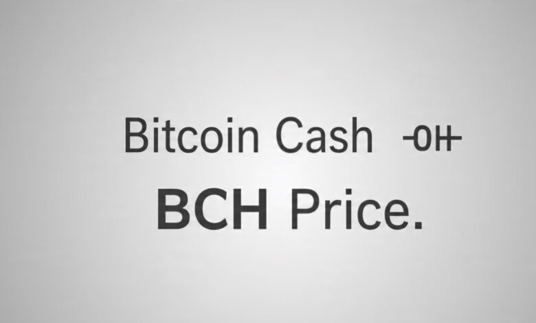 Bitcoin Cash BCH Price
