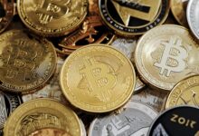 best altcoin picks for the year