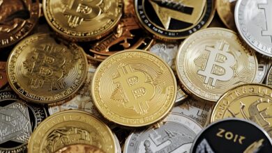 best altcoin picks for the year