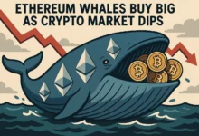 Ethereum Whales Buy Big as Crypto Market Dips