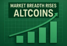 Market Breadth Rises Altcoins