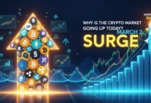 Why Is the Crypto Market Going Up Today March 2 Surge